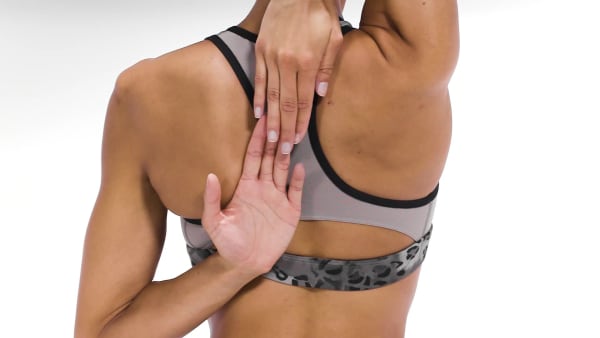 Grey Modern Safari Lux Racer Padded Medium-Impact Sports Bra 60783